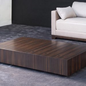 duo_coffee_table